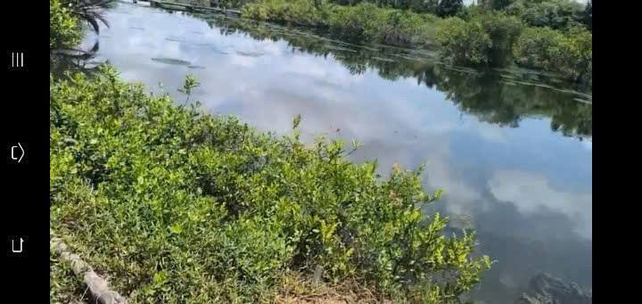 Đất nền Bảo Thạnh, Ba Tri 8000m² giá 864 triệu - Mặt tiền đường đê Quốc phòng