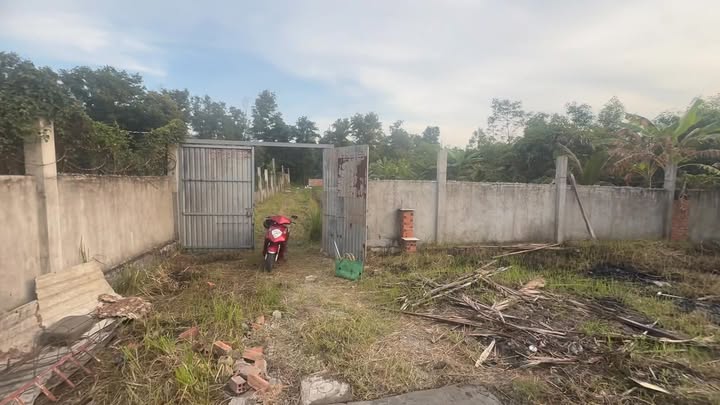 Cho thuê Farm 1.600m² tại Lê Minh Xuân, Bình Chánh - Không gian lý tưởng cho nghỉ dưỡng!