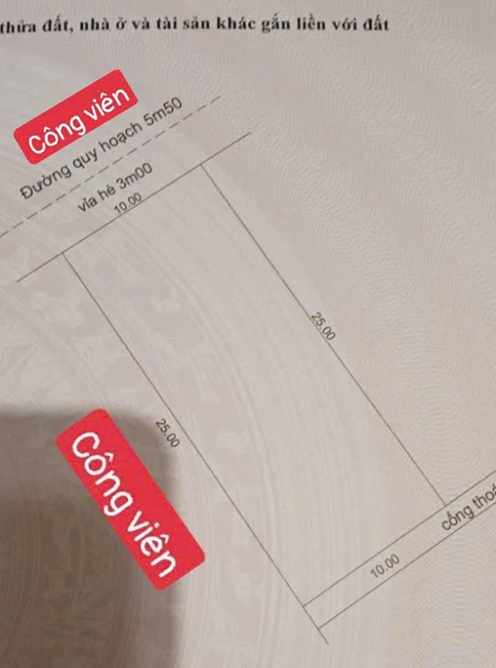 Đất nền Hòa Hiệp Nam Đà Nẵng 250m² giá 7 tỷ - View công viên tuyệt đẹp!