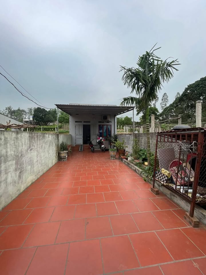 Nhà cấp 4 đường Nguyễn Huệ, phường Chu Văn An, 175m² giá 1 tỷ - Tiện nghi đầy đủ!