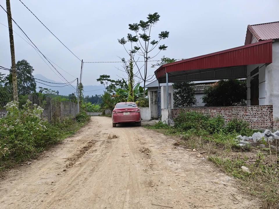 Đất nền 260m² tại Đồng Thịnh, Yên Lập - Bám đường bê tông, giá chỉ từ 200 triệu!