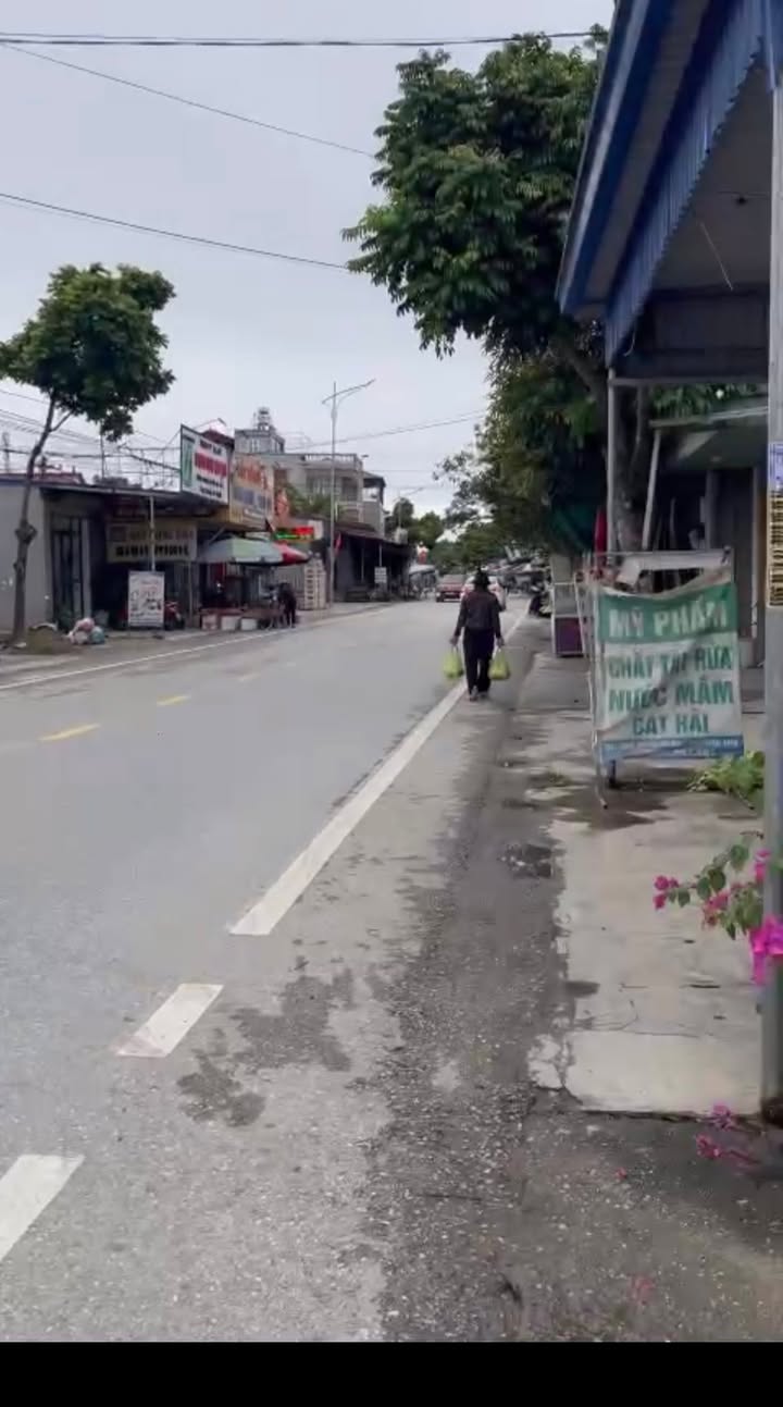 Đất nền Trường Thọ An Lão 61m² - Ngõ ô tô vào tận nơi, giá thỏa thuận!