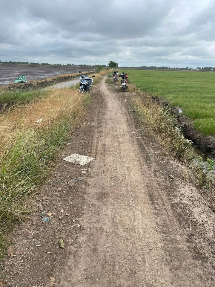 Đất nông nghiệp 21 công tại xã Tân Công Sính, huyện Tam Nông - Giá chỉ 3.15 tỷ