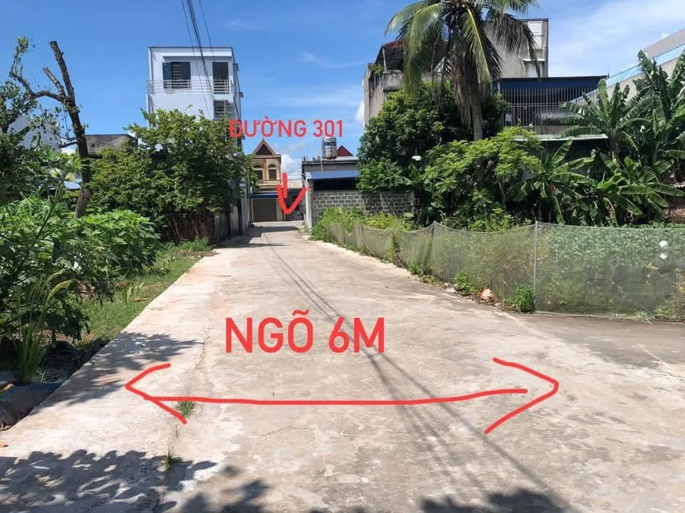 Đất liền kề Trường Thọ, An Lão, Hải Phòng 62.5m² – Đầu tư sinh lời ngay!