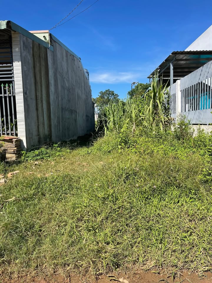 Đất nền Tân Phước, Tân Bình 100m² giá 400 triệu - Cách chợ nhỏ 30m!