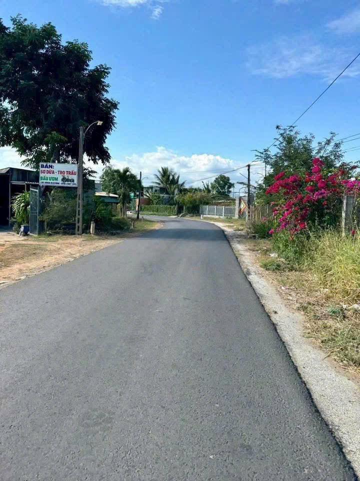 Đất vườn thổ cư xã Hàm Hiệp 1031m² giá 900 triệu - Nơi an cư lý tưởng!