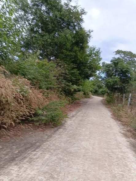 Đất nền Lộc Hưng Lộc Khánh 7200m² - Giá thỏa thuận, mặt tiền rộng rãi!