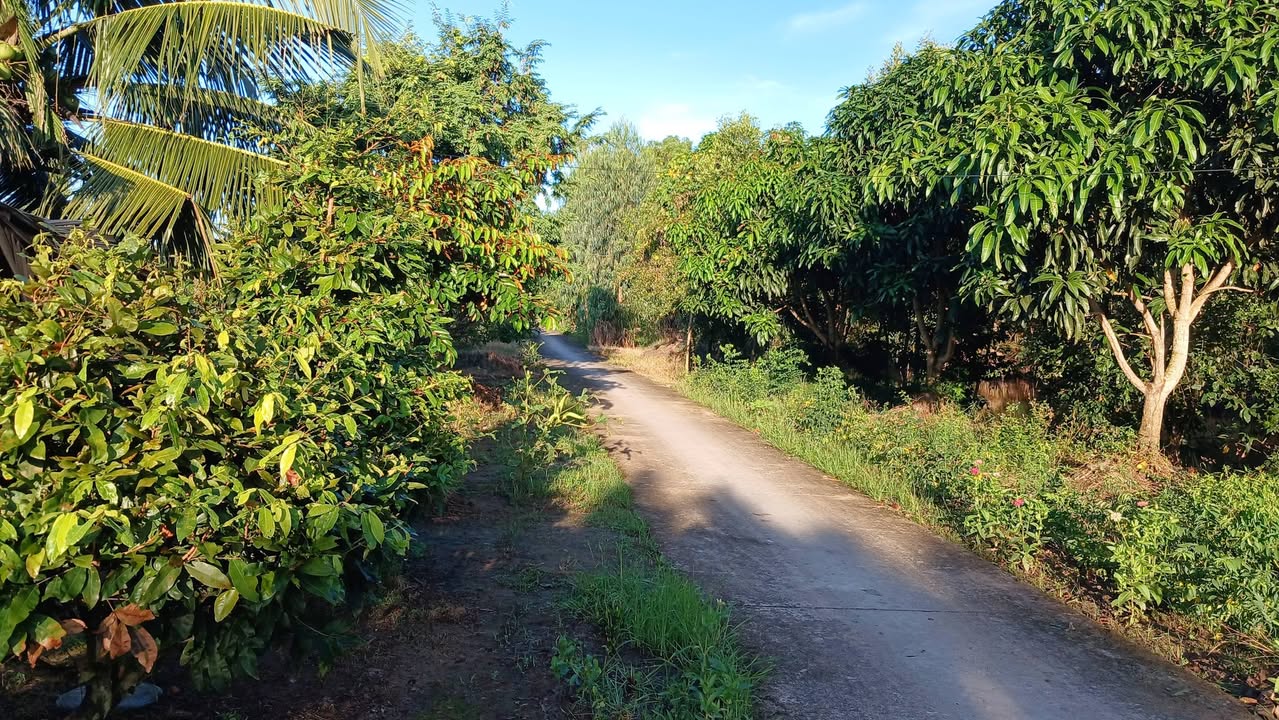 Đất nền 36 công tại Ấp Thanh Hùng, An Minh, Kiên Giang giá 4.68 tỷ - Cơ hội đầu tư tuyệt vời!