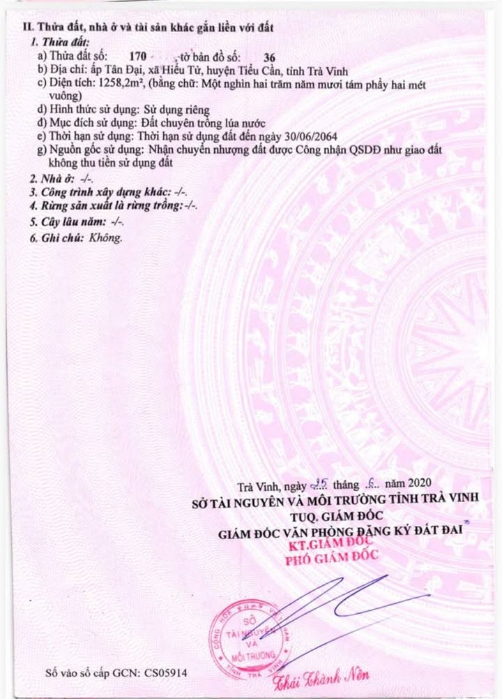 Đất nền Ấp Tân Đại, Tiểu Cần 1258m² giá 800 triệu - Cơ hội đầu tư sinh lời!