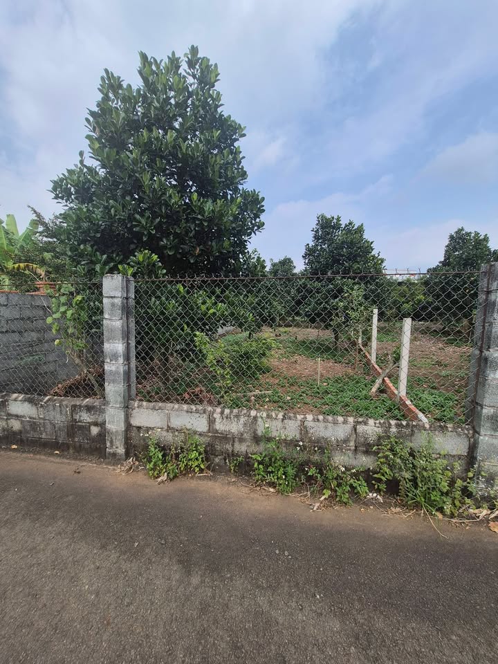 Đất nền Bình Ba, Châu Đức 240m² giá 1.1 tỷ - Khu dân cư đông đúc, cơ hội đầu tư hấp dẫn!