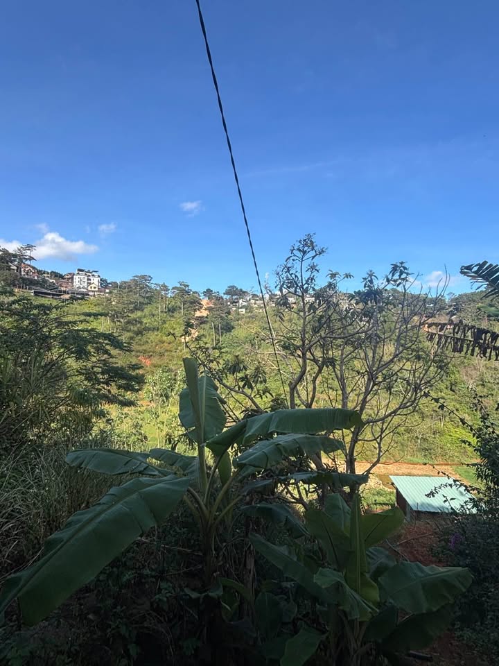 Đất nền Đà Lạt 99.2m² giá 500 triệu - View thung lũng tuyệt đẹp!