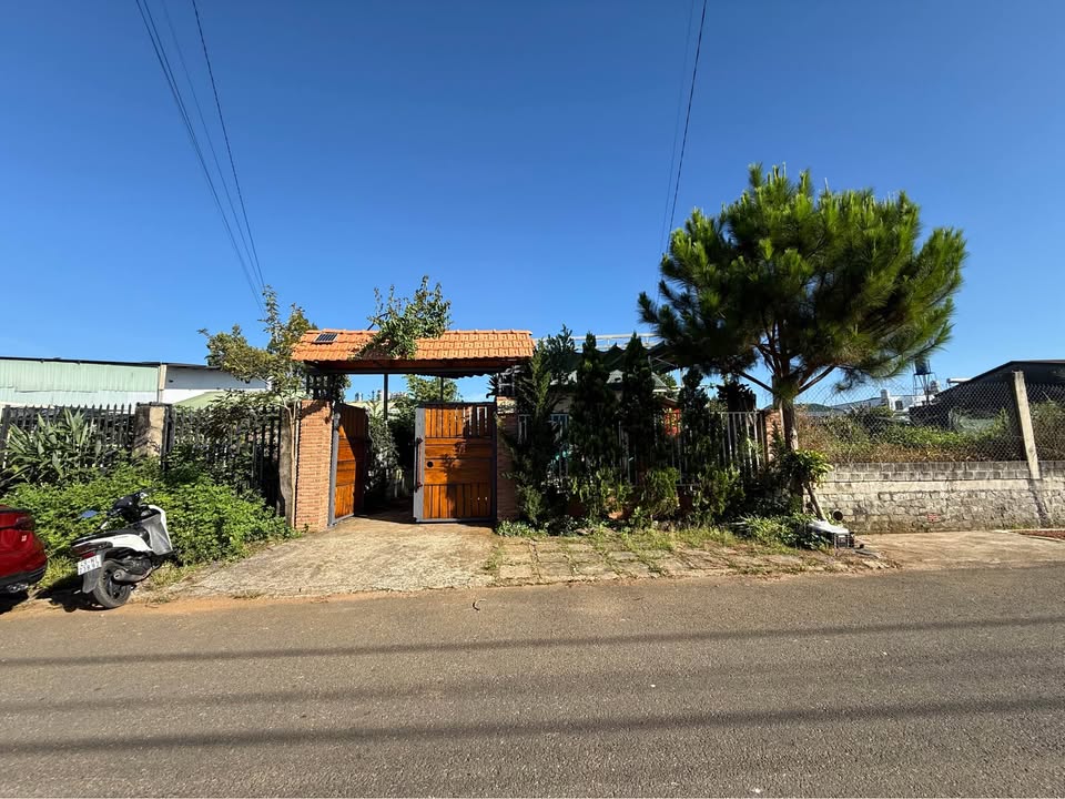 Nhà vườn nghỉ dưỡng đường Lê Phụng Hiều, Bảo Lộc 285m² giá 3 tỷ - Không gian sống lý tưởng!