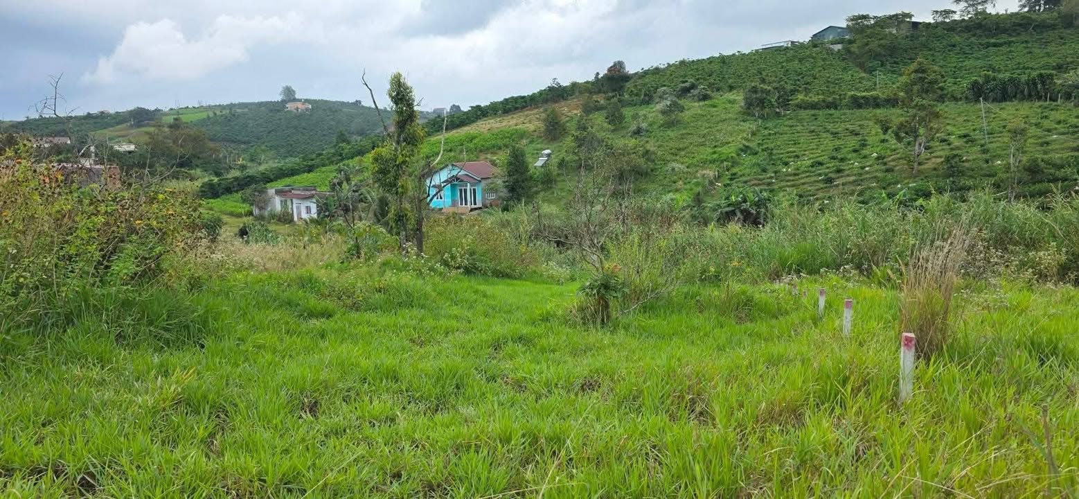 Đất nền Bảo Lộc 600m² giá 2.4 tỷ - Tiềm năng đầu tư lớn!