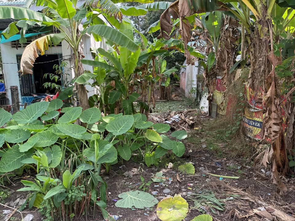 Đất nền Phú An Bến Cát 200m² giá 1.2 tỷ - Cơ hội đầu tư tuyệt vời!