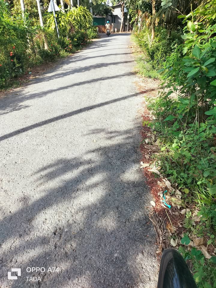 Đất vườn Hòa Lộc, Tam Bình 3000m² giá 680 triệu - Cơ hội đầu tư hấp dẫn!