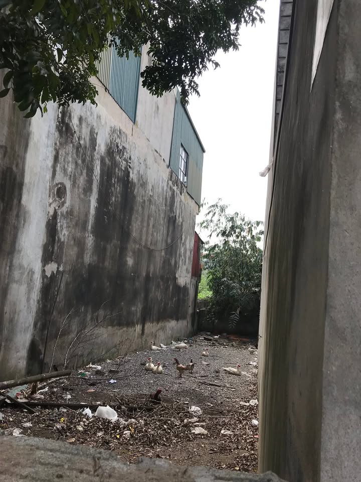 Đất chính chủ mặt đường Xuân Diệu, Phủ Lý 107m² giá 5.35 tỷ - Vị trí đắc địa gần hồ Vực Kiếu