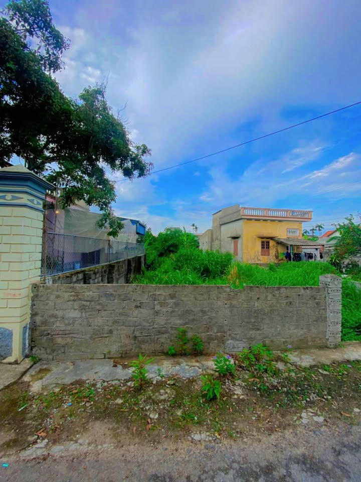 Lô đất Tại Xã Chí Minh, Tứ Kỳ 230m² giá 1.9 tỷ - Mặt tiền 9m, đuôi nở hậu!