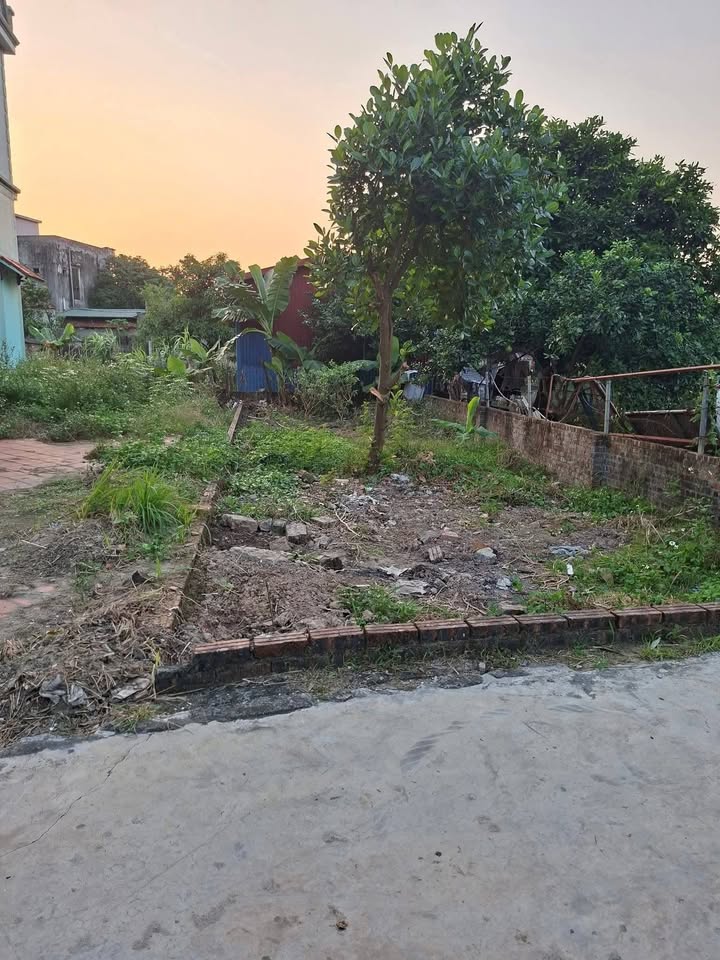 Đất nền Cẩm Điền, Cẩm Giàng 77m² giá chỉ 9xx triệu - Cơ hội đầu tư hiếm có!