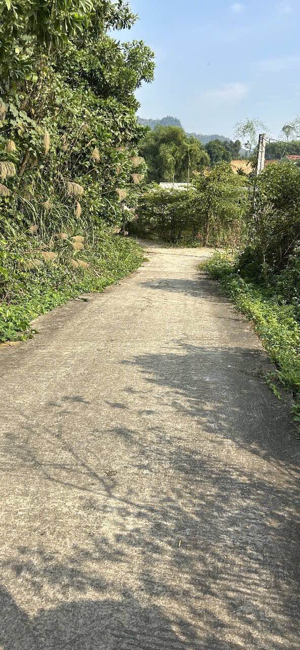 Đất Nông Tiến Tuyên Quang 200m² giá 1.45 tỷ - Cơ hội đầu tư lý tưởng!