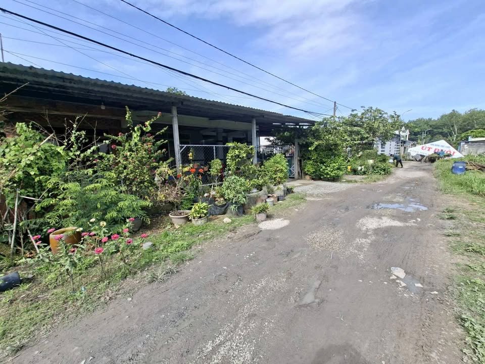 Đất thổ cư Củ Chi 184m² giá 3.3 tỷ - Bán gấp lô đất đẹp