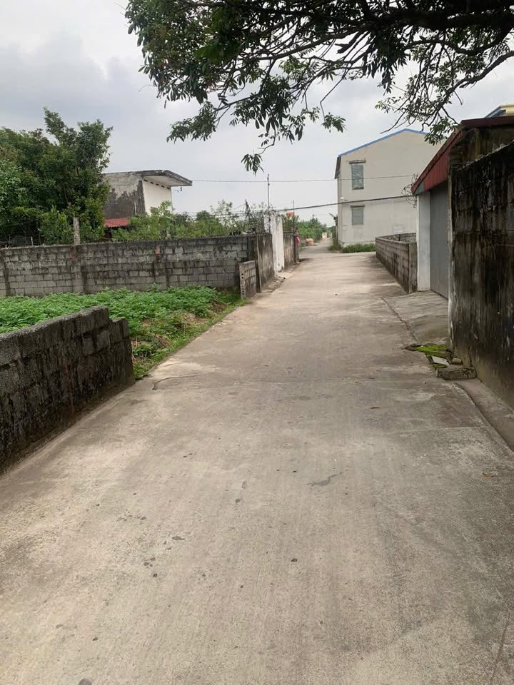 Đất nền Tiền Hải Thái Bình 85m² giá thương lượng - Nhiều tiềm năng phát triển!