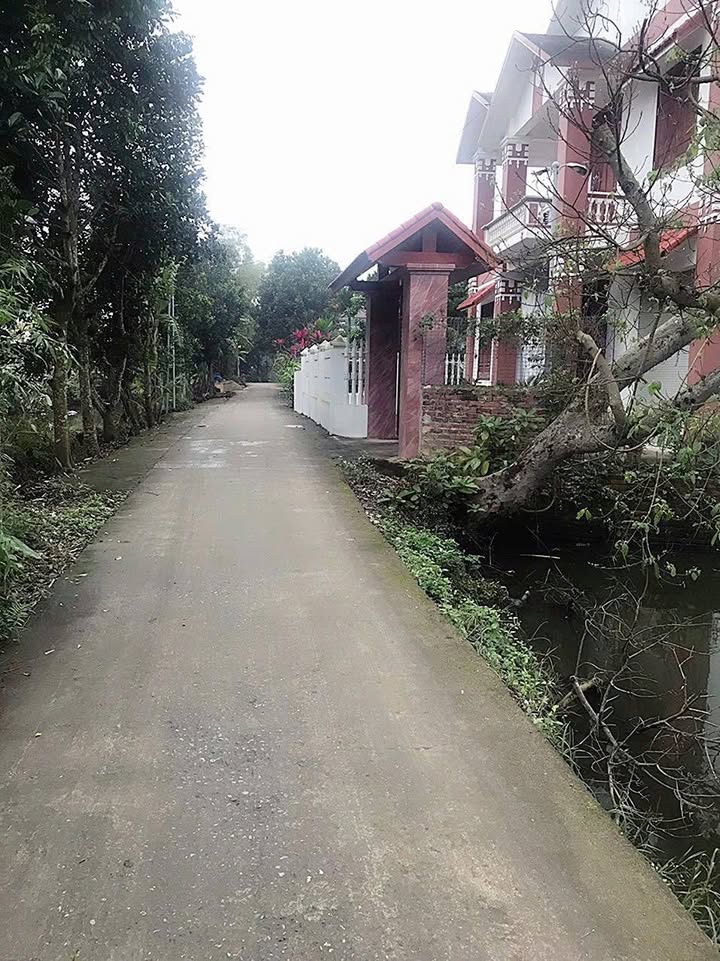 Đất nền Quỳnh Khê 331m² giá chỉ 300 triệu - Cơ hội đầu tư sinh lời!