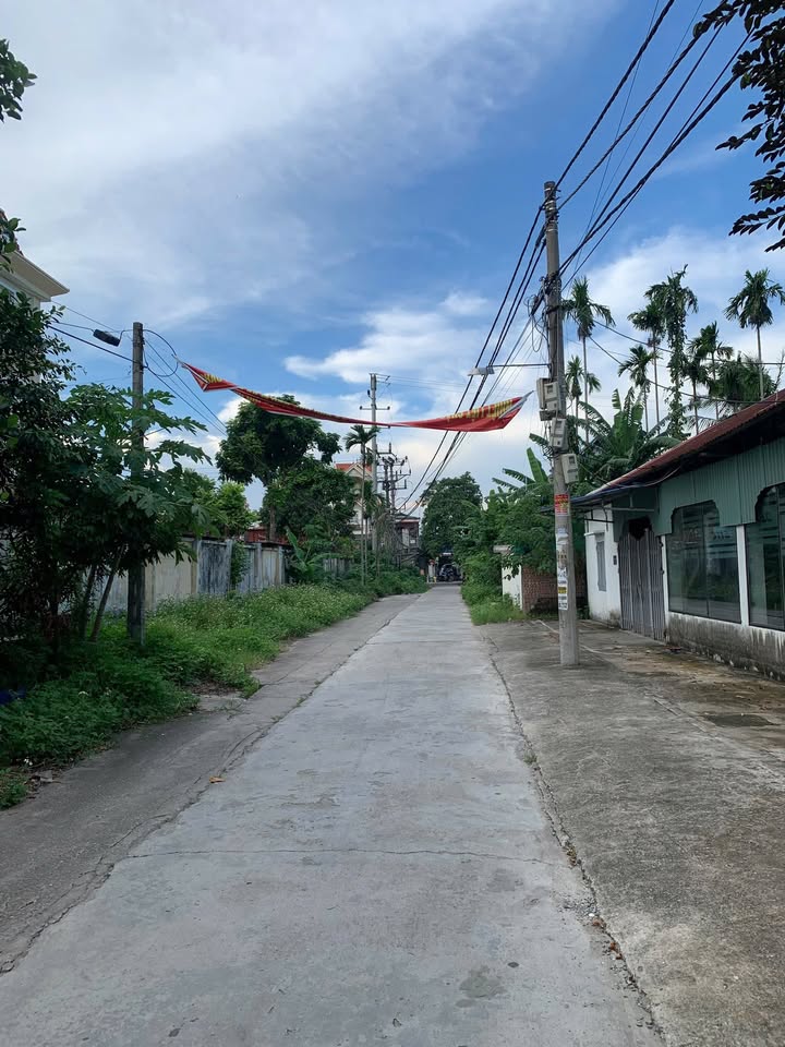 Đất nền Thủy Nguyên, Hải Phòng 100m² giá 2 tỷ - Đầu tư sinh lời tiềm năng!