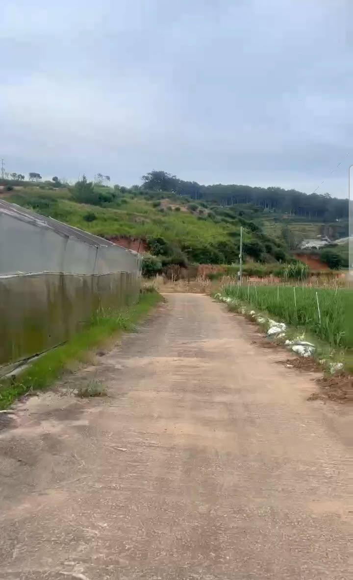 Đất nền Khe Sanh Đà Lạt 521m² giá 1.7 tỷ - View thoáng đẹp, pháp lý rõ ràng!