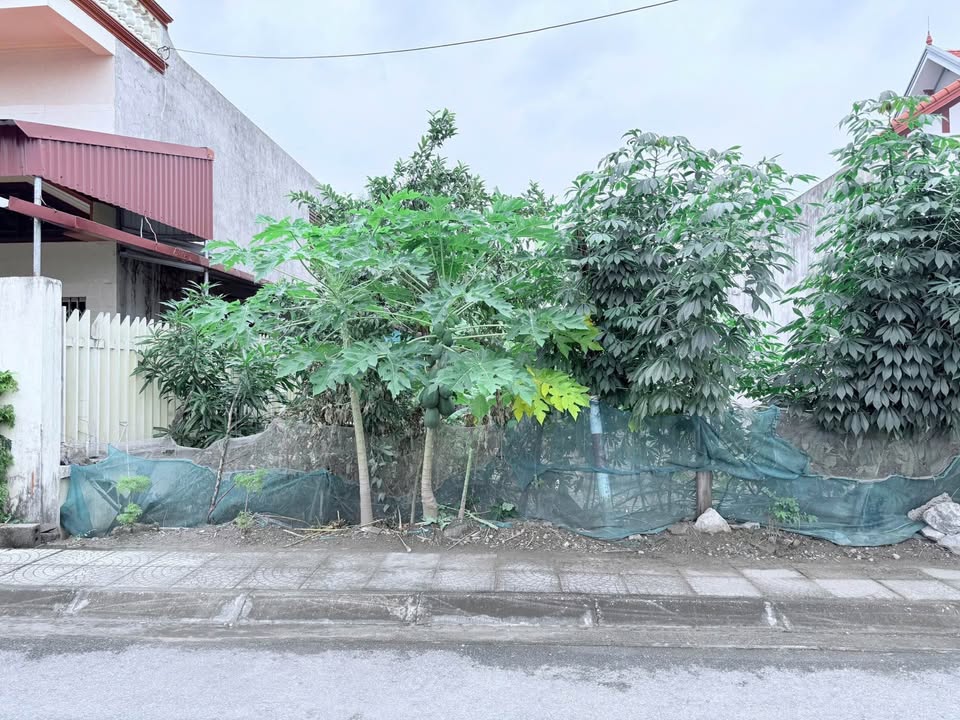 Đất nền Dương Kinh Hải Phòng 180m² chỉ 1x triệu/m² - Cơ hội đầu tư tuyệt vời!