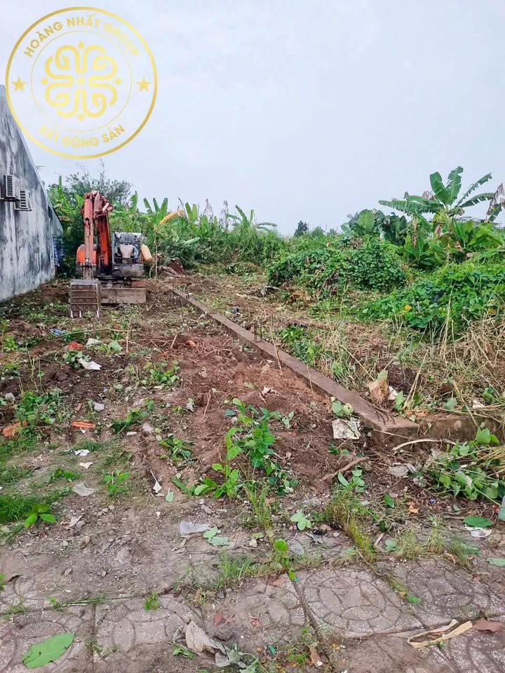 Nhà mới 99m² đường 9A, phường Lý Văn Lâm, Cà Mau - Thiết kế hiện đại, giá 1.4 tỷ!