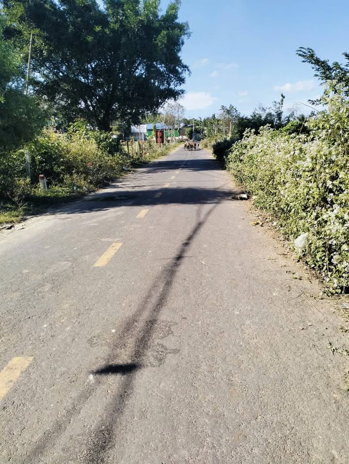 Đất làm kho bãi tại Cư Kuin 1824m² giá chỉ 2.04 tỷ - Cơ hội đầu tư hiếm có!