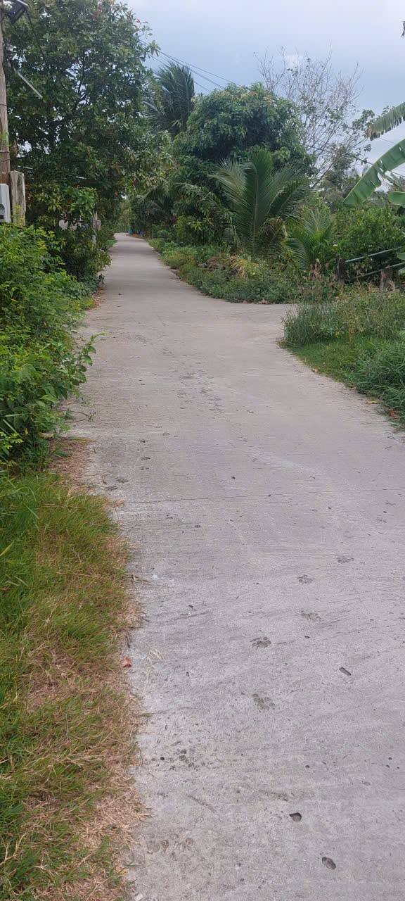 Nhà vườn nghỉ dưỡng tại Mỹ Hạnh Đông, Cai Lậy 1000m² - Góc hai mặt tiền, giá 1.5 tỷ!