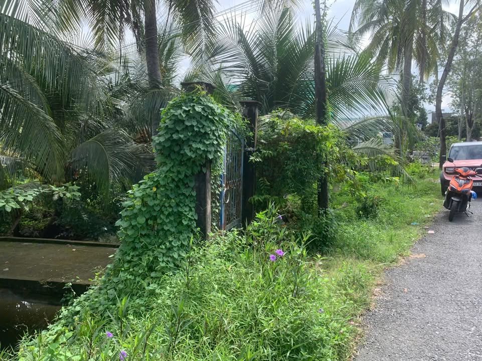 Đất nền mặt tiền đường 92A, Đạo Thạnh, 166m² chỉ 1.6 tỷ - Cơ hội đầu tư hấp dẫn!