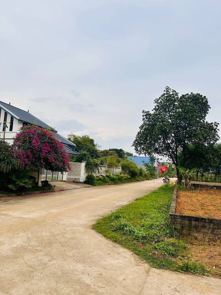 Đất nền Tiên Kiên Lâm Thao 165m² giá 1.6 tỷ - Vị trí đắc địa gần khu công nghiệp