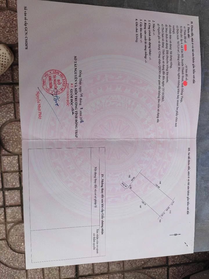 Đất nền 7073m² tại Tân Mỹ, Thanh Bình - Sổ hồng riêng, cơ hội đầu tư lớn!