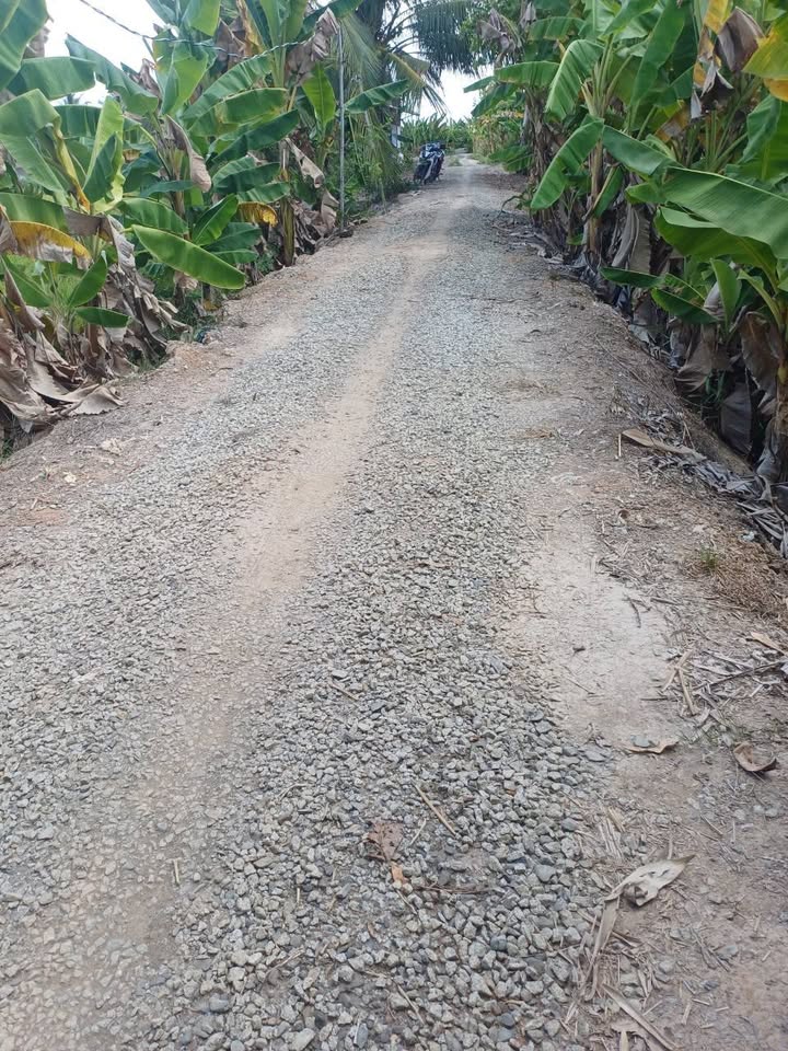 Đất thổ cư Nhị Mỹ, Cao Lãnh 1056m² giá 370 triệu - Đầu tư sinh lời ngay!