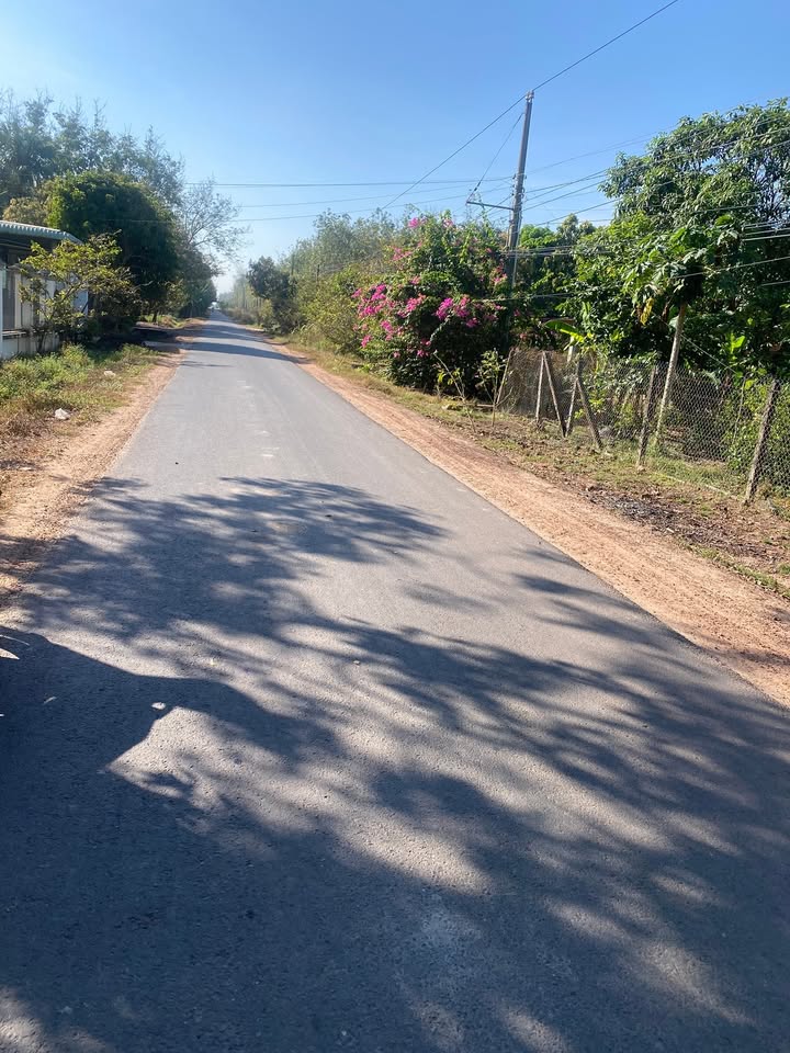 Đất cao su An Cơ, Châu Thành, Tây Ninh 50.000m² - Mặt tiền đường nhựa, giá thỏa thuận!