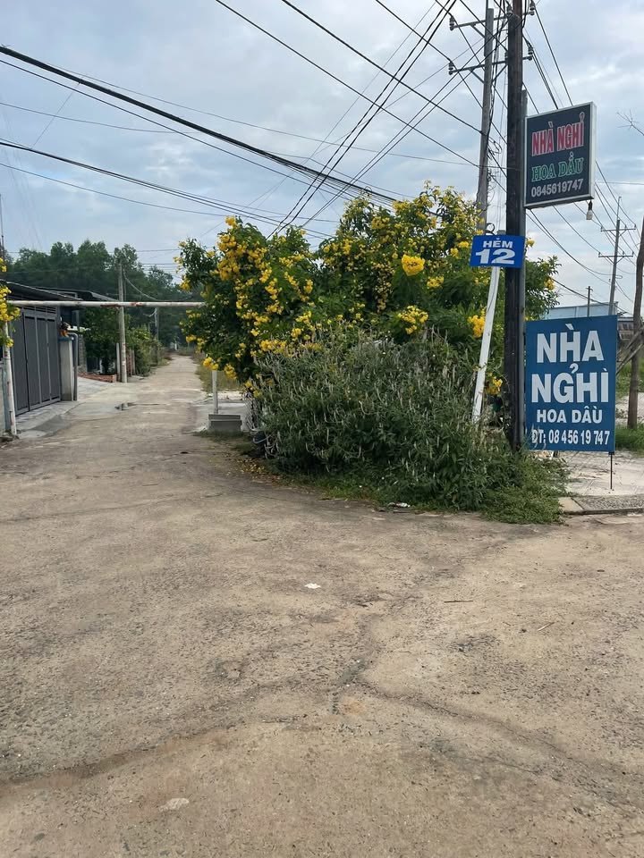 Đất thổ cư Hẻm 12 đường số 15, Châu Thành 52268m² - Tiềm năng đầu tư lớn
