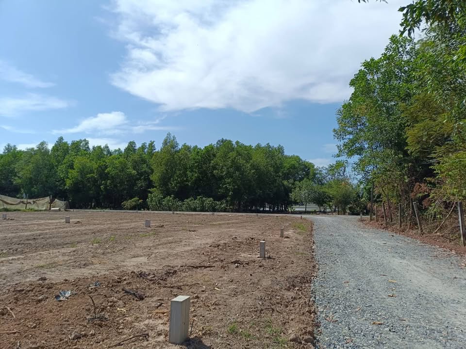 Đất thổ cư Trí Bình Châu Thành Tây Ninh 310m² - Đường thông tứ hướng, giá chỉ 520 triệu!