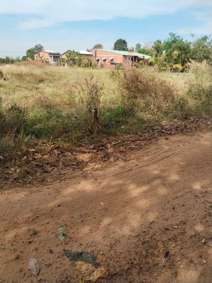 Đất nền Ấp Thạnh Hòa, Tân Biên, Tây Ninh 190m² chỉ 170 triệu - Sổ hồng chính chủ!