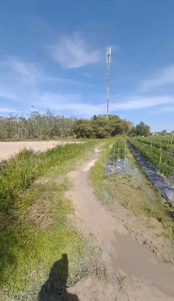 Đất Hảo Đước, Châu Thành 60.000m² giá 900 triệu - Sổ đỏ chính chủ, đầu tư sinh lời!