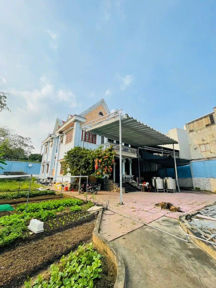 Biệt Thự Sân Vườn 1500m² Tăng Nhơn Phú A chỉ 60 triệu/tháng - Địa điểm lý tưởng cho mọi nhu cầu!