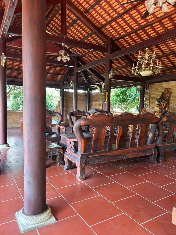 Farm 5 hecta Tân Định, Bắc Tân Uyên giá 25 tỷ - Cơ hội đầu tư tuyệt vời!