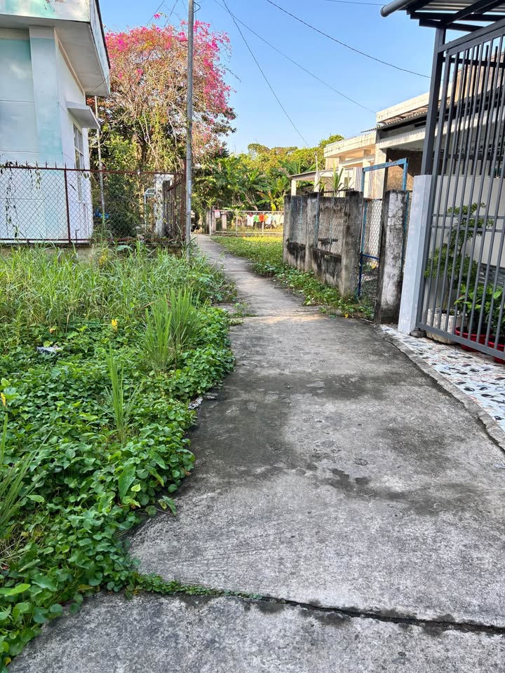 Bán đất tặng nhà tại Hẻm 50, xã Bình An, 169m² giá chỉ 500 triệu - Cơ hội đầu tư hấp dẫn!