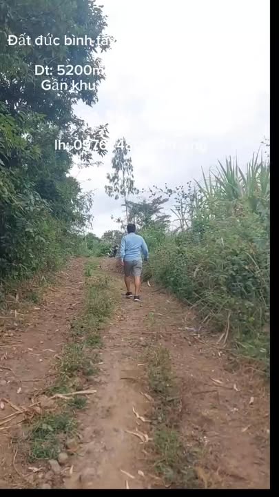 Đất nền Đức Bình Tây, Sông Hinh 5200m² - Đầu tư sinh lời tuyệt vời!