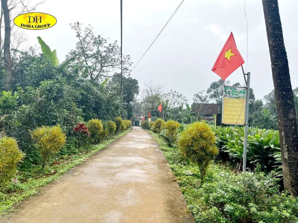 Lô đất thổ cư Phương An 2, Cam Nghĩa 581.75m² - Gần trường, chợ, tiện ích đầy đủ!