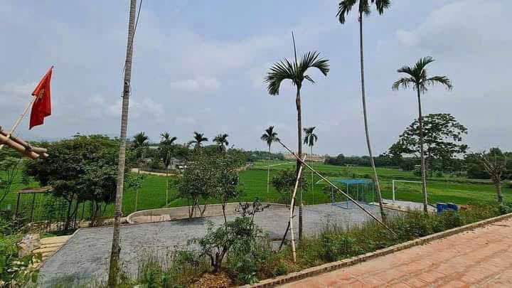 Nhà vườn 1900m² tại Cư Yên, Lương Sơn - Giá tốt, view cánh đồng