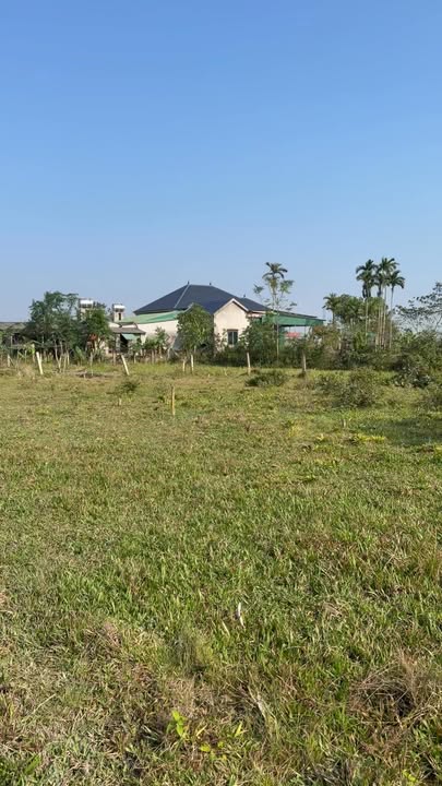 Đất thổ cư 3600m² tại xã Việt Xuyên, Thạch Hà - Đầu tư sinh lời ngay!