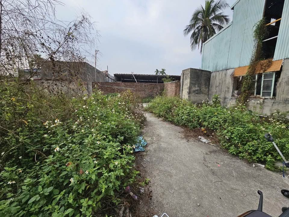 Đất nền liền kề đường Trần Văn Cẩn, Kiến An 43m² giá 1 tỷ - Sổ đỏ chính chủ!