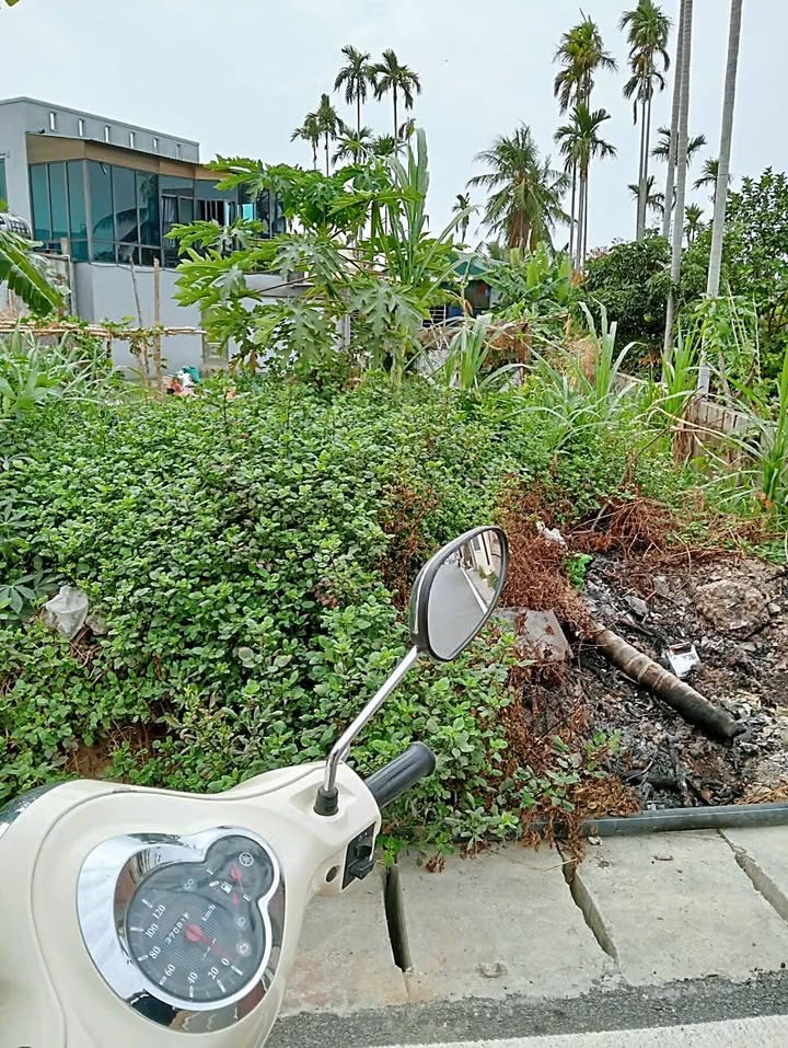 Đất nền tại Phường Thiên Hương, Thủy Nguyên 110m² giá 2 tỷ - Đường nhựa 8m, vị trí đẹp!